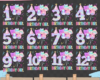 Puede incluir: Un conjunto de archivos digitales con los números 1-12 con ilustraciones coloridas de globos y sombreros de fiesta. Cada diseño incluye el texto "BIRTHAY GIRL". La imagen también incluye el texto "Whimsy WingsStudio" y "12 PNG files".
