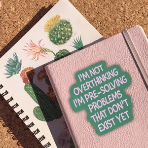 May include: Two notebooks, one with a pink cover and a green sticker that reads "I'M NOT OVERTHINKING I'M PRE-SOLVING PROBLEMS THAT DON'T EXIST YET." The other notebook has a white cover with cactus illustrations.