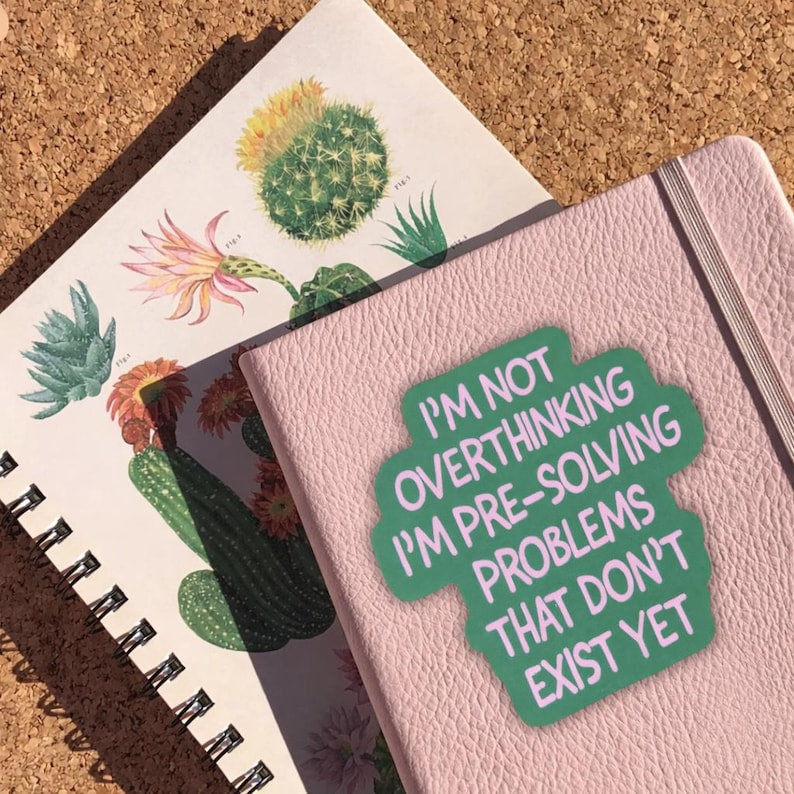May include: Two notebooks, one with a pink cover and a green sticker that reads "I'M NOT OVERTHINKING I'M PRE-SOLVING PROBLEMS THAT DON'T EXIST YET." The other notebook has a white cover with cactus illustrations.