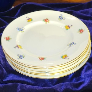 High Quality Crown Staffordshire Fine Bone China Salad Plate. (1)