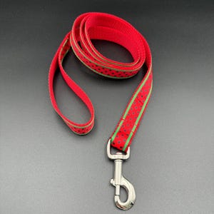 Può includere: Guinzaglio per cani rosso con stampa a cocomero verde e nero e un moschettone argentato.