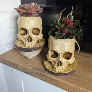 Pot de fleur gothique crâne : jardinière d'horreur en résine résistante aux intempéries