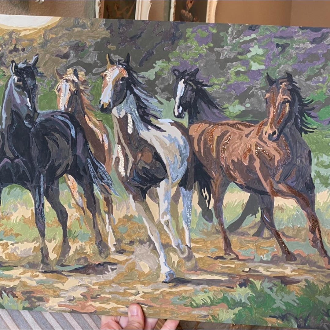 Horses Paint by Number by Me With Free Shipping Etsy
