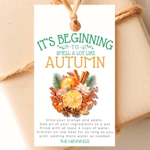 Autumn Simmer Pot Gift Tag Fall Simmering Potpourri Printable Tags Thanksgiving EDITABLE Template with Recipe Instructions