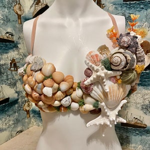 Sea Shell Bra Top Woman Crystal Lingerie Chain Apparel Stripper