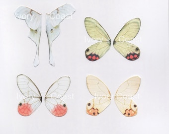 White Peach Butterfly Dragonfly Wings.  Digital Download.  Fairy, Angel, Whimsical, Craft, Clip Art, Collage, Mixed Media, Nature, #16P/BDS