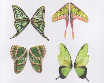 Green Tinted Butterfly Wings.  Digital Download.  Fairy, Angel, craft, art, mixed media, collage, woodland, nature, embellishments, #16BDS