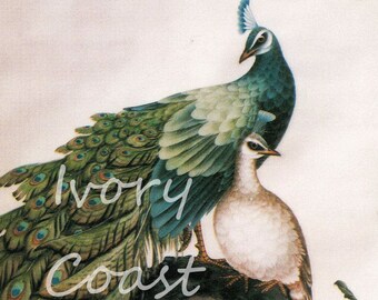 Peacock Bird Painting Vintage Image.  Digital Download. Instant, transfer, illustration, ephemera, blue, green, feathers, nature, #14/PAM