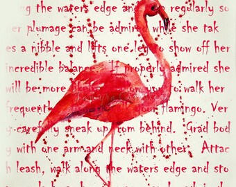 How to walk your Flamingo word art by Tamyra Crossley.  Digital Download.