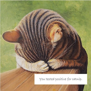 May include: A tabby cat with brown and white fur is hiding its face in its paws. The cat is sitting on a wooden surface. The text "You tested positive for catnip." is written below the cat.