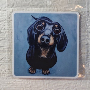 Sticker with a happy dachshund. Durable glossy vinyl, waterproof, UV resistant, outdoor rated for seven years.