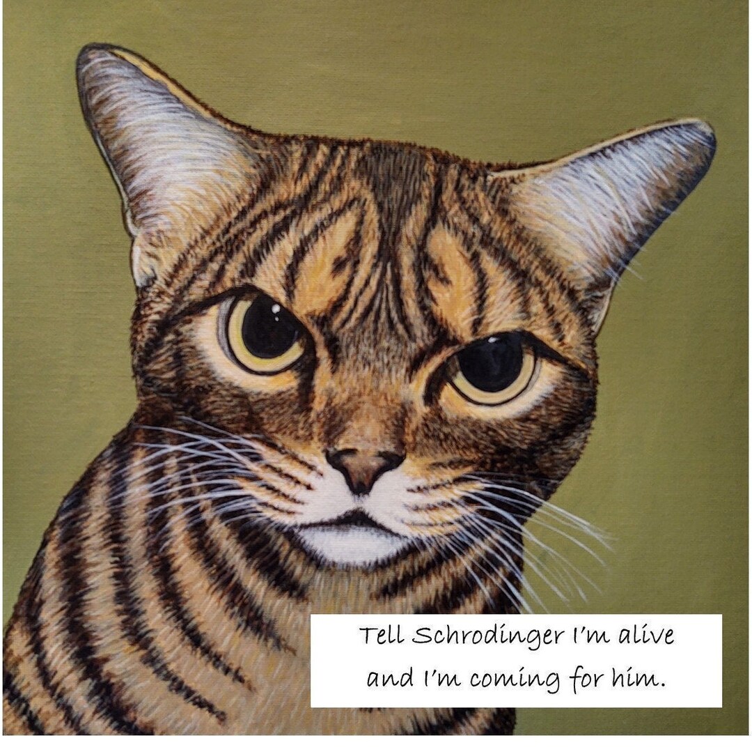 Víspera de Todos los Santos salida Arriesgado El gato de Schrödinger muy vivo y marcado que estaba - Etsy España Víspera de Todos los Santos salida Arriesgado El gato de Schrödinger muy vivo y marcado que estaba - Etsy España