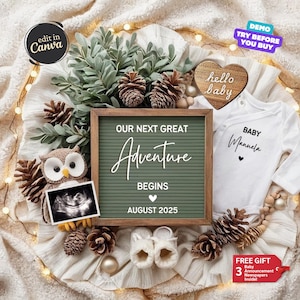 Adventure Baby Announcement Digital, Mountain Pregnancy Announcement, Baby Gender Neutral Reveal, Editable Social Media Post Template, Owl