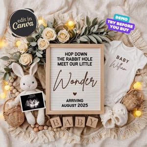 Pregnancy Announcement Reveal, Baby Announcement Digital, Boho Baby Gender Reveal, Editable Social Media Template, Simple Bunny Baby Announc