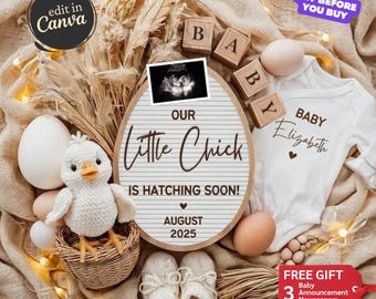 Faire-part de grossesse numérique à la ferme, Faire-part bébé sur le thème de la poule, Révélation non sexiste modifiable, Révélation poulet Coop, Petit poussin