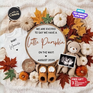 Fall Pregnancy Announcement Digital, Autumn Baby Reveal, Baby Announcement, Editable Gender Neutral Social Media Template, Little Pumpkin