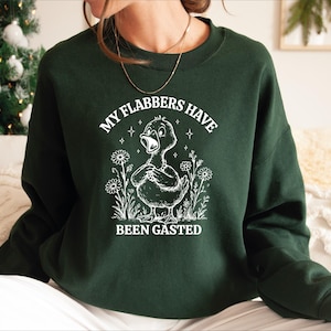 My Flabbers Have Been Gasted Sweathirt,Funny Shirt,Graphic Tee,Silly Tee,Funny Humor Shirt,Flabbergasted Hoodie,Funny Shirt for Women