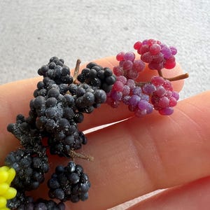 miniature grapes 4 pc