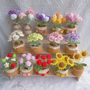 May include: A collection of 12 crocheted flower arrangements in pots. The flowers are in various colours, including pink, purple, yellow, and white. The pots are all brown and have a crocheted design.