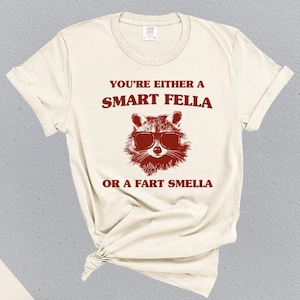 Comfort Colors® Are You A Smart Fella Or Fart Smella? Cartoon T Shirt, Weird T Shirt, Trash Panda T Shirt, Meme T Shirt, Unisex Shirt