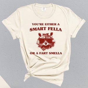 Comfort Colors® Are You A Smart Fella Or Fart Smella? Cartoon T Shirt, Weird T Shirt, Trash Panda T Shirt, Meme T Shirt, Unisex Shirt