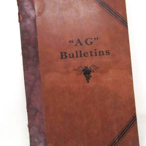 Vintage Farm Book Farming Journal - 1928 AG Bulletins US-Landwirtschaftsamt, die Getreide an Viehzuchtzüchter füttern, Gras-Alfalfa