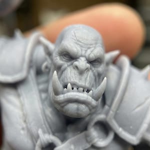 May include: A detailed, gray miniature of an orc warrior's head. The orc has a stern expression, prominent tusks, and detailed facial features. The miniature is wearing armor, suggesting a fantasy or tabletop gaming theme.