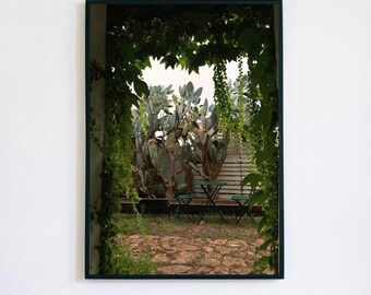 Italian Garden Photography Print | Cactus & Greenery Wall Art (Digital Download)