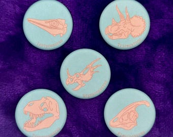 May include: Five circular buttons with a light blue background and peach-colored dinosaur skull illustrations. Each button features a specific skull labeled with its name: Ichtyosaurus, Triceratops, Styracosaurus, Tyrannosaurus, and Plesiosaurus.
