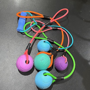Biothane Tug Toy