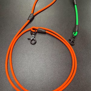 Biothane Dog Leash: 1/4”, Custom Length, Optional Slip Collar, Weather Resistant