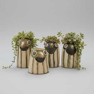 Curious Bird Ceramic Planter – A Nest for Small Greens, various sizes