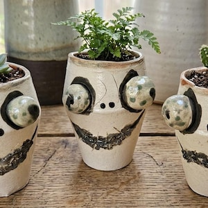 Op de afbeelding: Drie gebroken witte keramische plantenpotten met een handgeschilderd gezicht, grote uitpuilende ogen en een brede gestikte mond. Elke pot bevat een kleine plant, waaronder een vetplant, een varen en een kleine cactus.