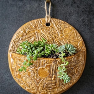 May include: A round, tan-colored wall planter with a detailed relief of human skeletons. The planter holds various green succulents and is suspended by a jute cord. The design is a unique, decorative piece for home decor.