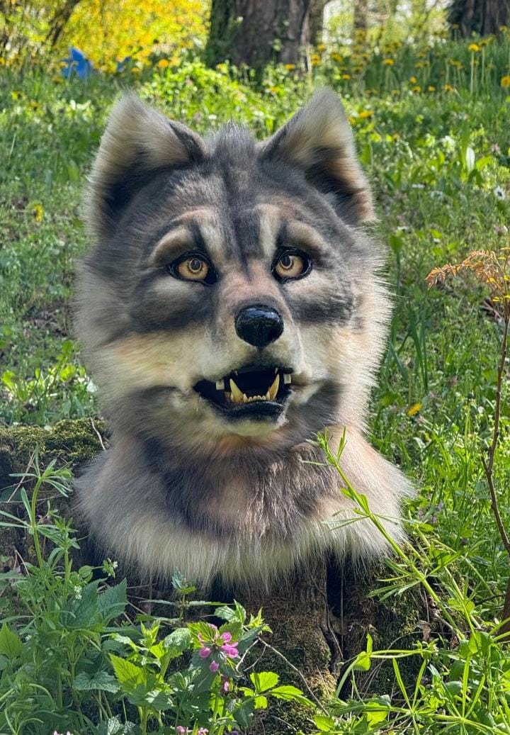 【ハンドメイド】リアル系オオカミ ケモノ着ぐるみヘッド ハンドメイド】リアル系オオカミ ケモノ着ぐるみヘッド - メルカリ