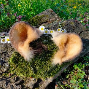 Può includere: Due paraorecchie in finta pelliccia soffice, di colore marrone e bianco, con un cerchietto in filo metallico, appoggiate su un tronco ricoperto di muschio, con margherite bianche sullo sfondo.