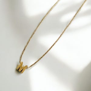 Puede incluir: Un collar de cadena dorada con un colgante de letra M dorada.