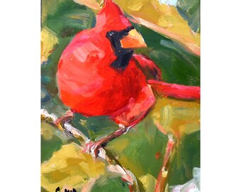 Red Cardinal Oil Painting on 9 x 12 Canvas, Wild Red Bird, Visitor Bird