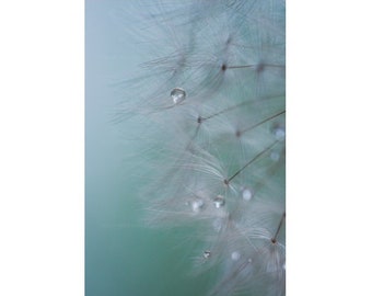 Macro Photograph of a Dandelion, Soft Blue Green Tones Ready-to-Frame Vertical Wall Art Print, Calming and Soothing General Home Decor