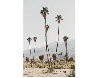 Palm Springs California Desert Print, Versatile Palm Trees and Mountains Print for your Home, Desert Photograph, Large Wall Art