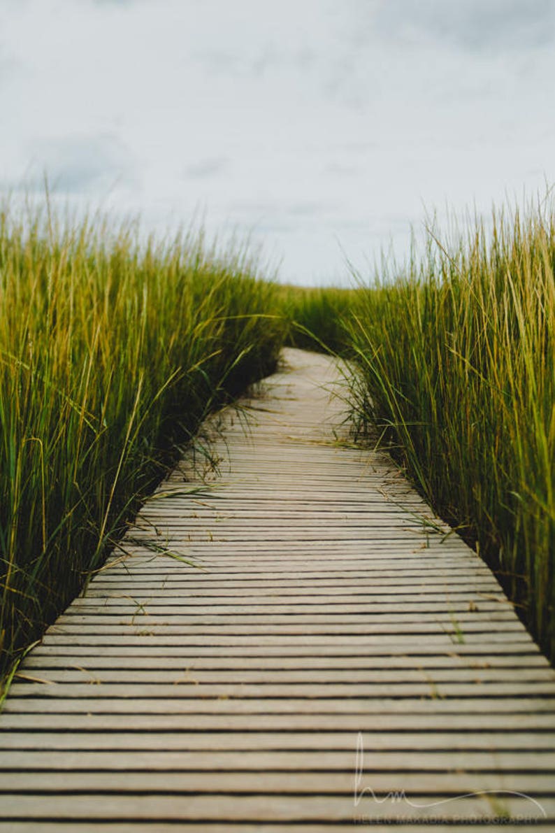 Wellfleet Boardwalk in Cape Cod, Cape Cod Art, Spa Wall Decor, Seagrass, Nature Print, Large Wall Art for the Home, Calming Wall Art image 10