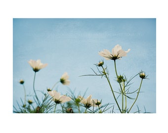 Flowers and Sky Nature Painterly Photograph Print, Blue and White Nature Print for the Living Room, Bathroom, Botanical Oversized Wall Art