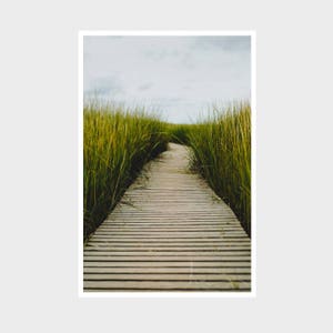 Wellfleet Boardwalk in Cape Cod, Cape Cod Art, Spa Wall Decor, Seagrass, Nature Print, Large Wall Art for the Home, Calming Wall Art image 1