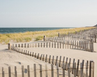 Beach Photograph of Fences and Sand Dunes at Nauset Beach, Cape Cod Wall Art for Home Staging, Neutral Beach House Decor, Coastal Picture