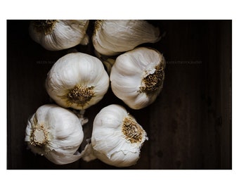 Photograph of Garlic for Kitchen and Dining Room Wall Art, Rustic Farmhouse Interior Design Idea, Art Print for Home Staging, Chef Gift