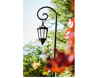 Photograph of Wellesley College Lantern in Fall, Wellesley Wall Art, Wellesley Lantern, Wellesley Alum and Graduation Gift, New England Art