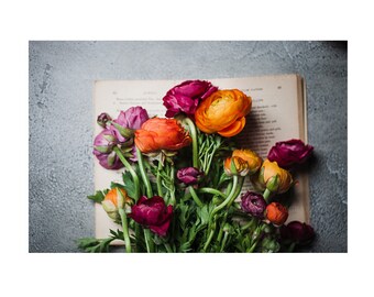 Photograph of Orange and Pink Ranunculus Flowers as Whimsical Wall Art for your Home Decor, Ready to Frame Colorful Botanical Wall Art