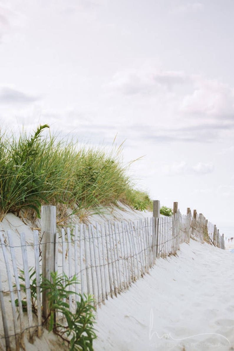 Cape Cod Photography Neutral Beach House Wall Art Path to Etsy