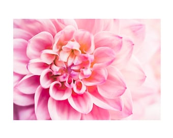 Pink Dahlia Photograph Print, Ready to Frame Flower Photograph for Pink Home Decor Ideas, Nursery, Kid's Room, Small Print Gift for Her