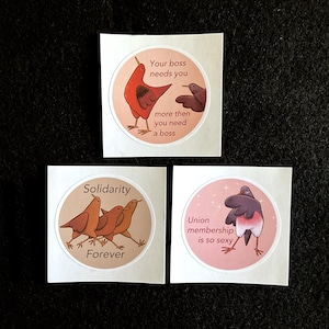 Lot d'autocollants Union Birbs